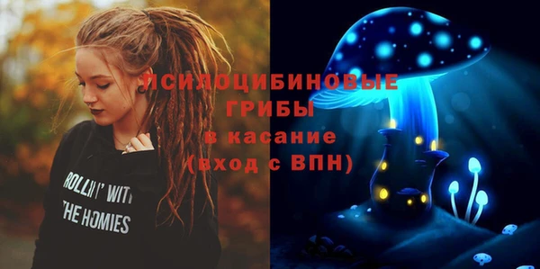 твердый Магас