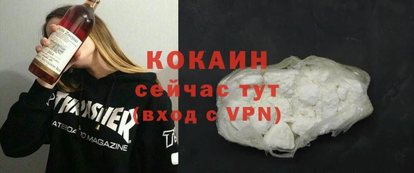 твердый Магас