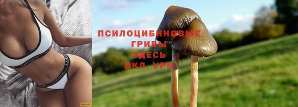 хмурый Магадан