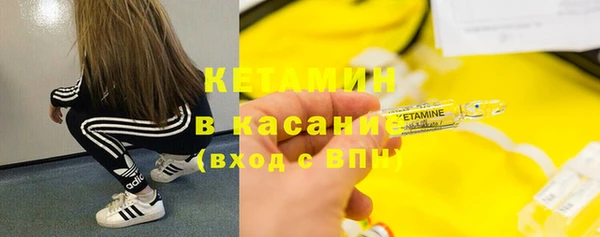 твердый Магас