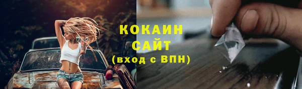 твердый Магас