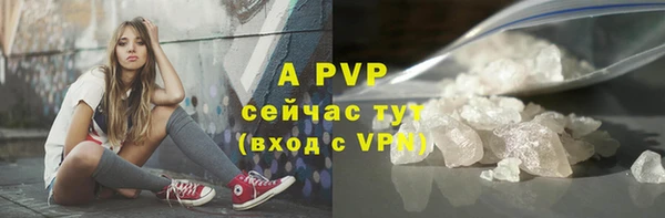 твердый Магас