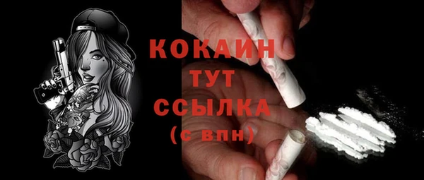 твердый Магас