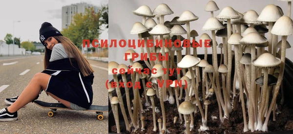 мяу мяу мука Артём