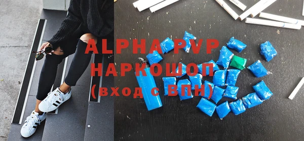 твердый Магас