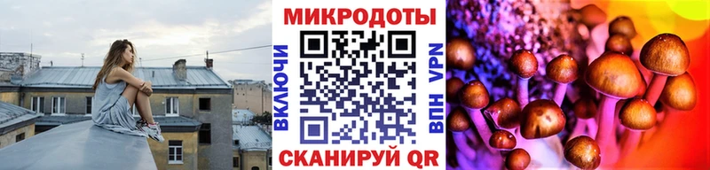 Галлюциногенные грибы прущие грибы  Тайшет 