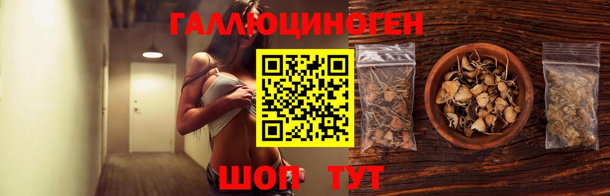 Тайшет  Галлюциногенные грибы мухоморы  Вход с VPN 