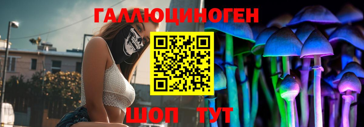 Псилоцибиновые грибы мицелий Тайшет