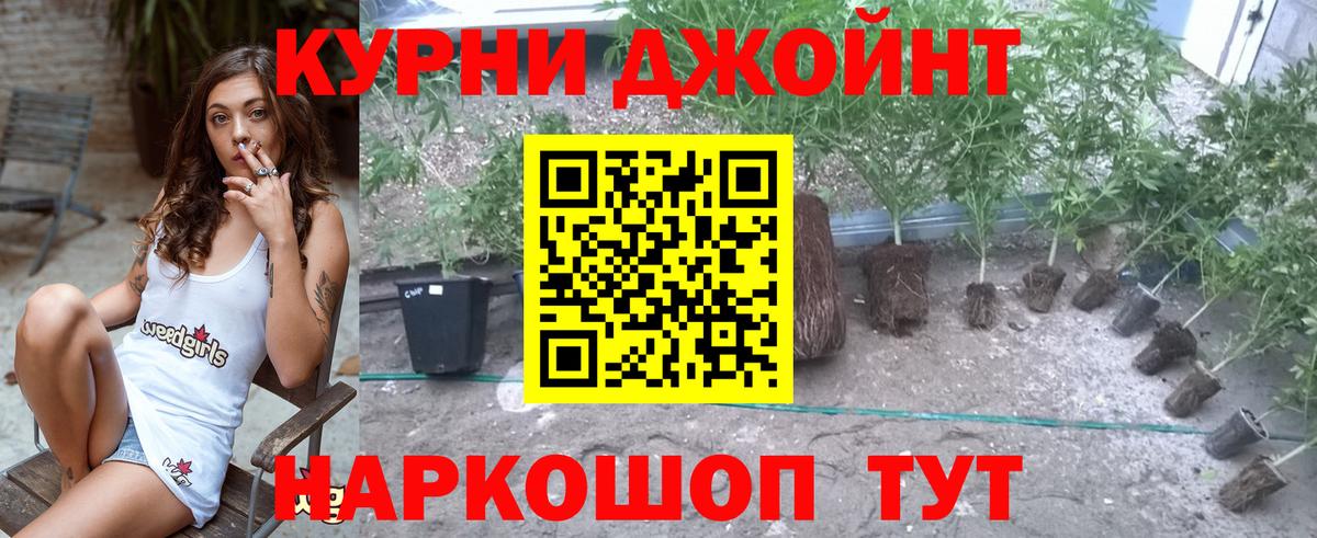Конопля тримм  Вход с VPN  Тайшет  Марихуана VHQ  Канабис THC 21% 
